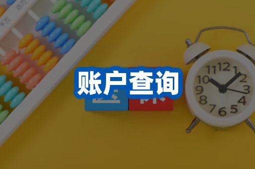 账户查询案例
